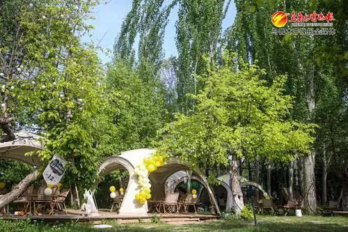 ” 打造文旅新场景 激发消费新活力k8凯发网站文化中国行丨“露营+(图3)